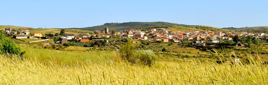 Panorámica de pueblo entre campos dorados y colinas