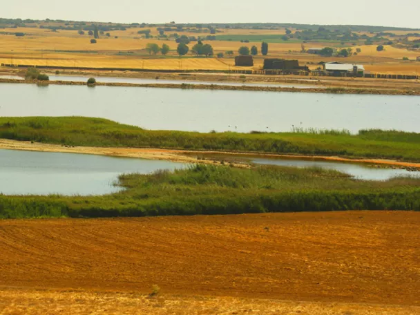 Imagen de horizonte con laguna y vegetación