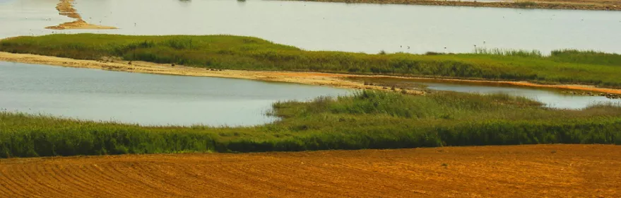 Imagen de horizonte con laguna y vegetación