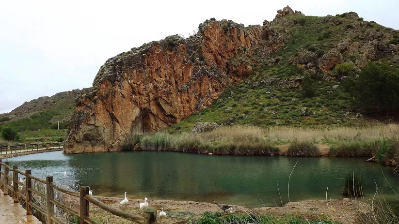 Laguna con montaña y patos alrededor