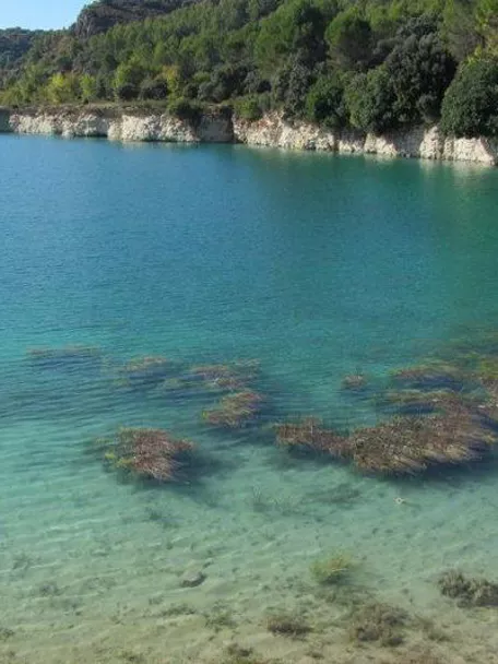 Imagen de cerca de la laguna