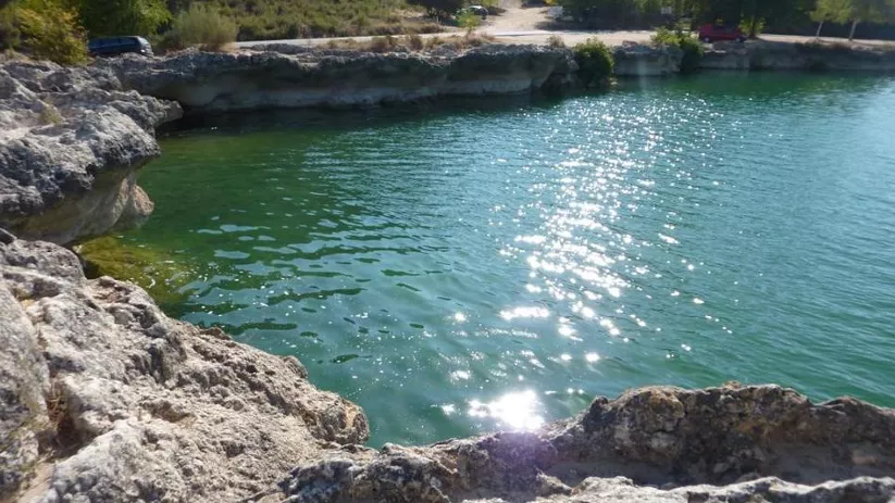 Imagen de cerca desde un camino