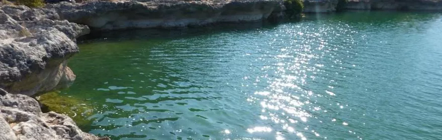 Imagen de cerca desde un camino