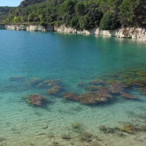 Imagen de una laguna con agua cristalina