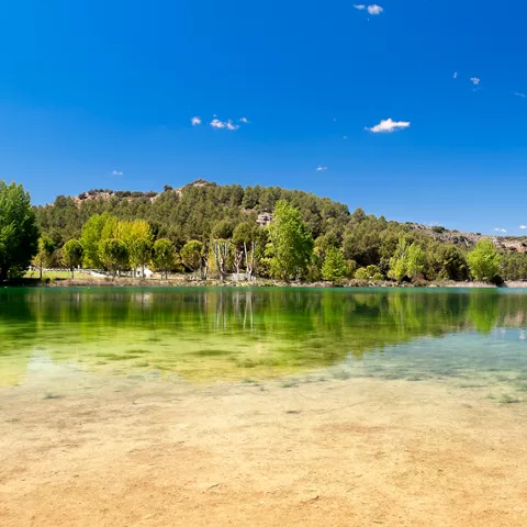 Imagen de paisaje que rodea a la laguna con árboles y monte