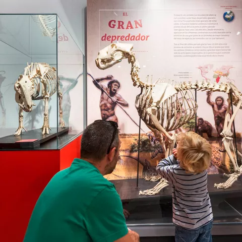 Visitantes en el Museo de ciencias naturales los Yébenes