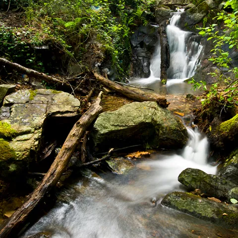 Imagen de la caída de un río