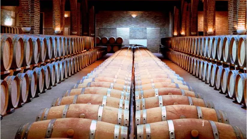 Enogastronomía Castilla-La Mancha