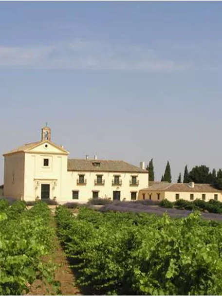 Enogastronomía Castilla-La Mancha