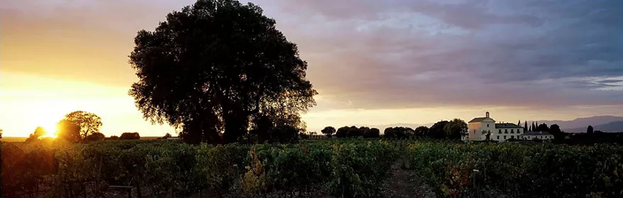 Enogastronomía Castilla-La Mancha