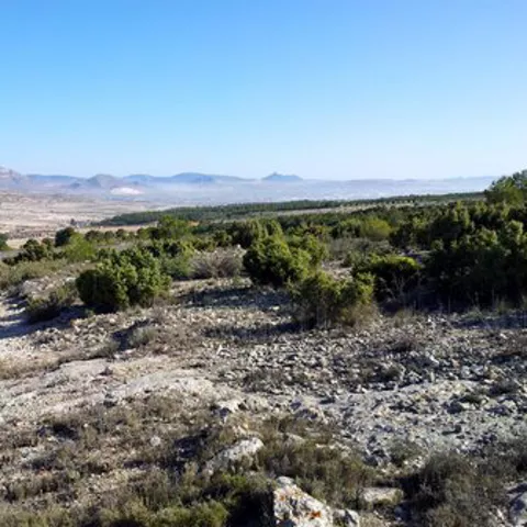 Imagen de un camino rocoso con montes al fondo