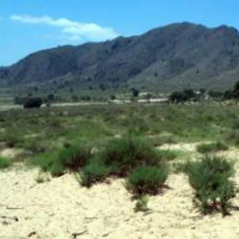 Imagen de arenal con un monte al fondo