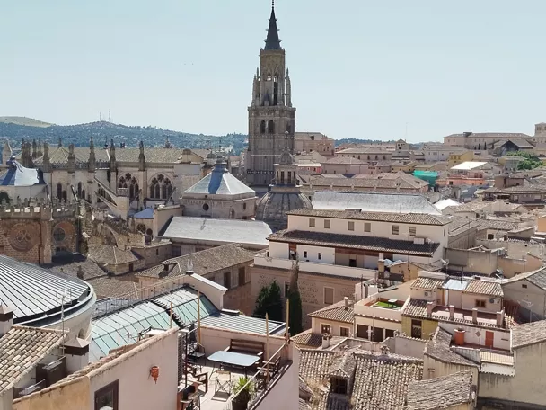 Vista panorámica del casco histórico con torres y tejados