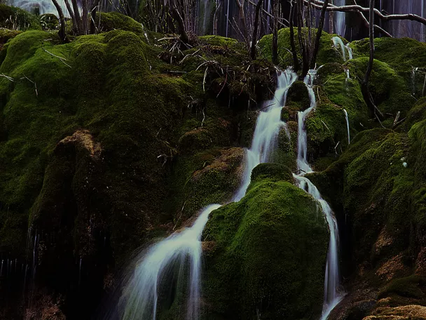 Imagen del monumento natural nacimiento del rio cuervo
