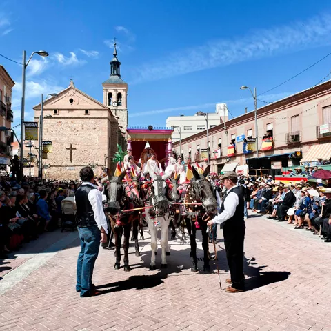 Carroza de la Fiesta del Olivo, Mora