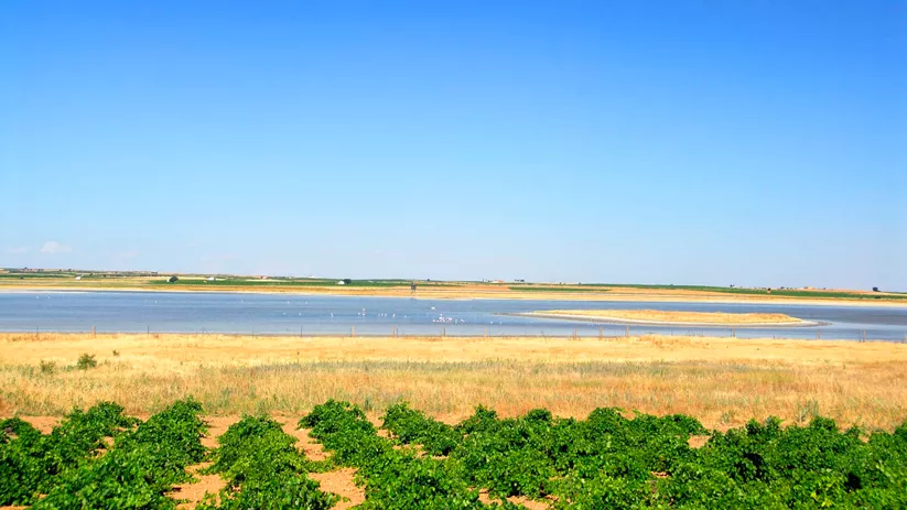 Laguna de Manjavacas, Mota del Cuervo