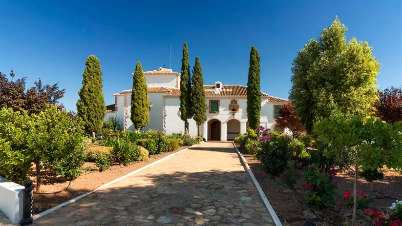 Ermita de Manjavacas, Mota del Cuervo