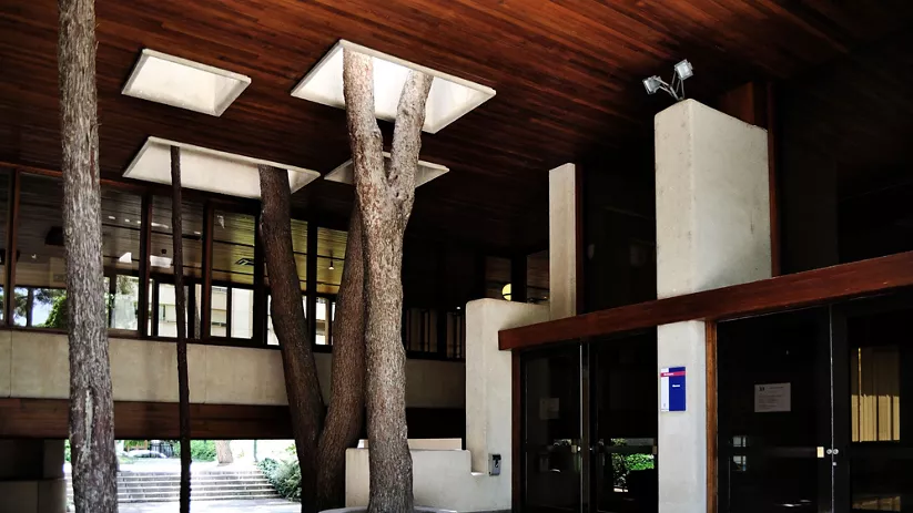 Acceso cubierto a edificio cultural con árboles integrados en la arquitectura.