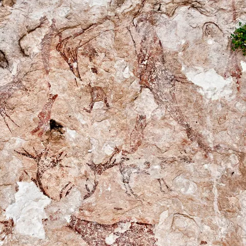 Pinturas rupestres, Nerpio