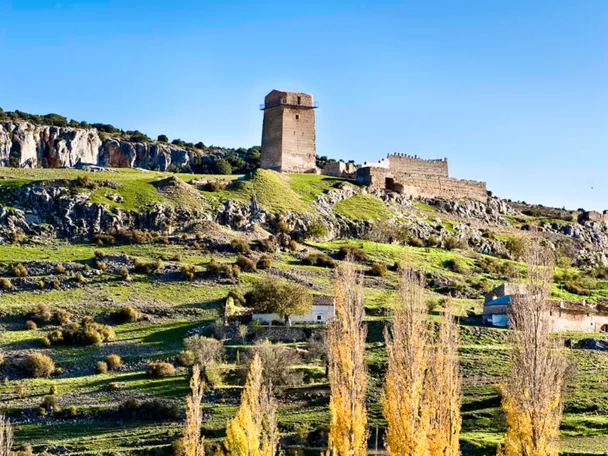 Ovejas a los pies del castillo de Taibilla, Nerpio