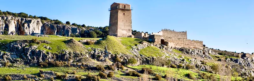 Ovejas a los pies del castillo de Taibilla, Nerpio