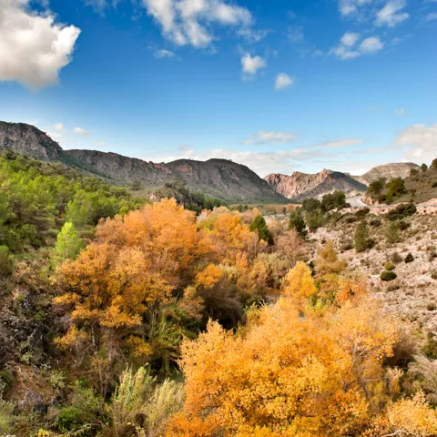 Paisaje de los alrededores de Nerpio