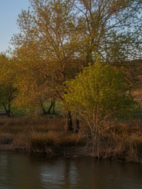 Río Guadiana en Luciana (Ciudad Real), paisaje fluvial con arbolado y colinas al fondo.