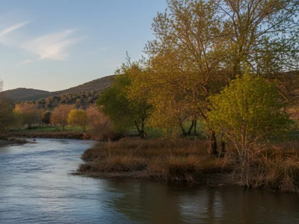 Río Guadiana en Luciana (Ciudad Real), paisaje fluvial con arbolado y colinas al fondo.