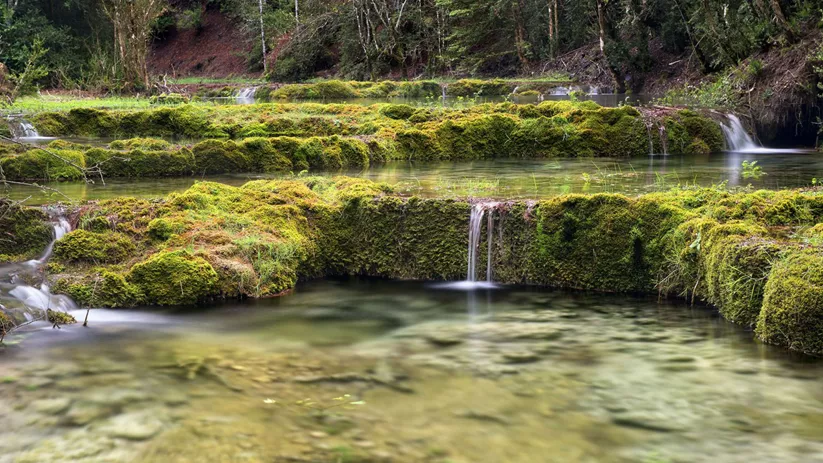 Naturaleza en el Parque Cinegético El Hosquillo