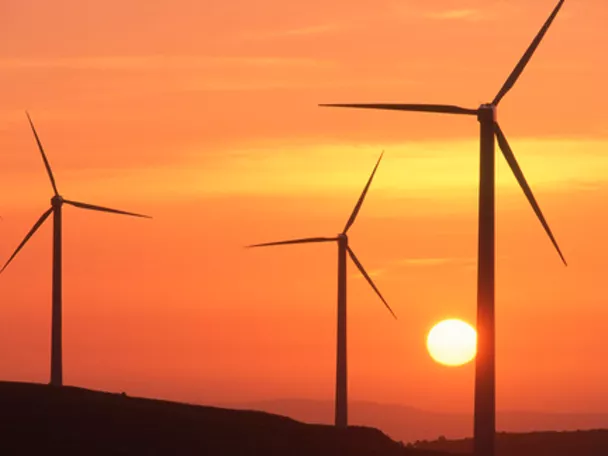 Imagen del parque eolico