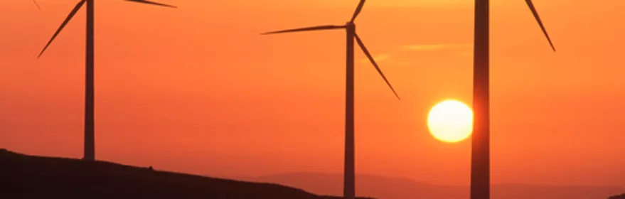 Imagen del parque eolico