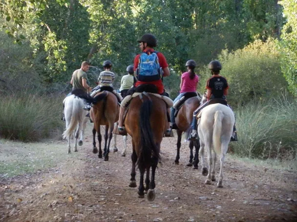 Experiencia de Ecoturismo en Ciudad Real