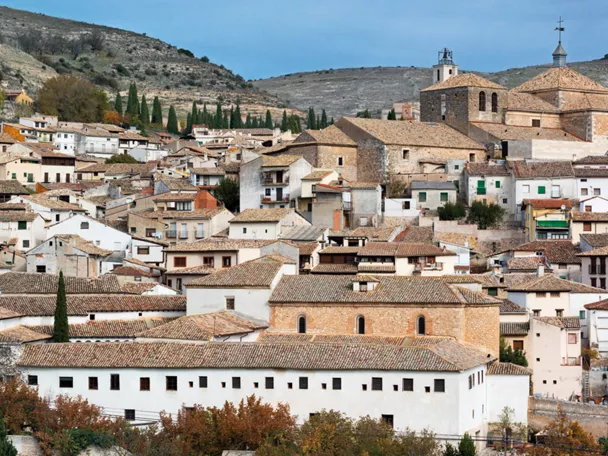 Vista de Pastrana con su Colegiata