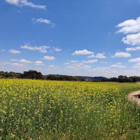 Naturaleza de Castilla-La Mancha
