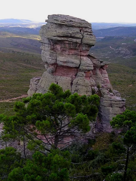 PIémulo de Henarejos, Cuenca