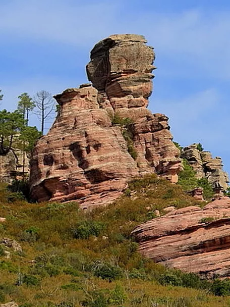 Monumento natural piémulo de Henarejos