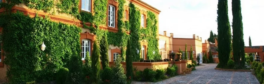 Fachada con hiedra y patio empedrado con cipreses