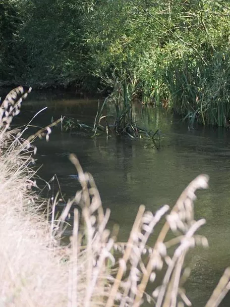 Imagen del rio Henares