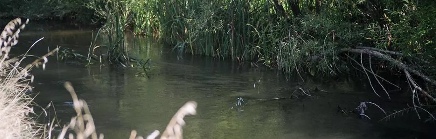 Imagen del rio Henares