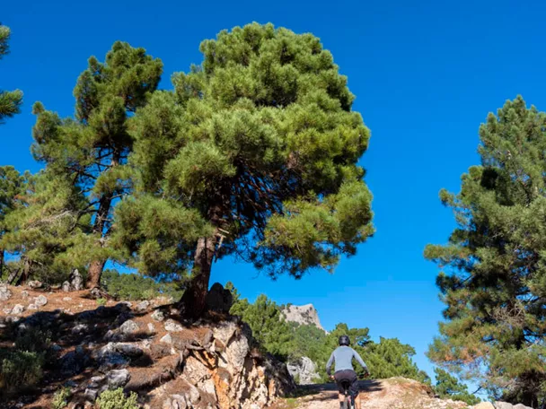 Subida al Padroncillo en Riópar