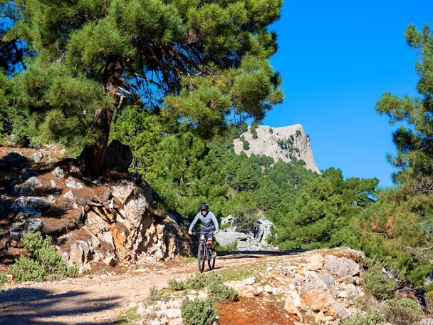 Ocio de Castilla-La Mancha