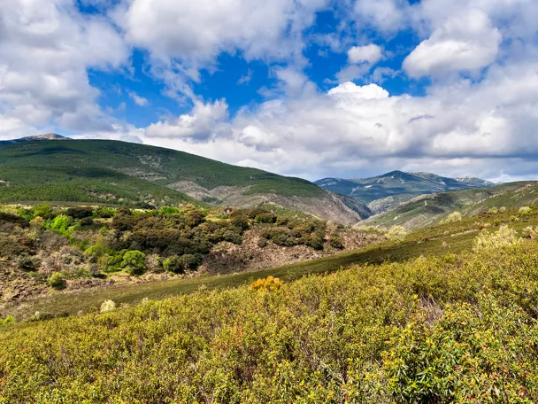 Vista del paisaje alrededor de Roblelacasa
