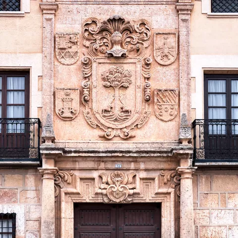 Palacio del Doctor la Encina, La Roda