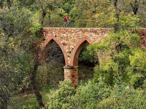 Ciclista cruzando un puente de piedra rodeado de vegetación.