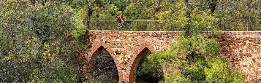 Ciclista cruzando un puente de piedra rodeado de vegetación.