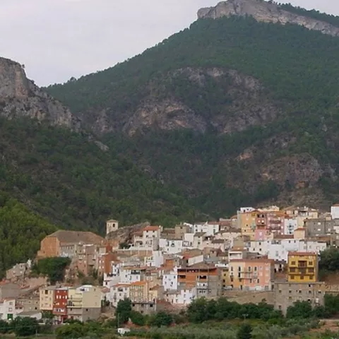 Vista panorámica de un pueblo escalonado en la ladera de una montaña boscosa.