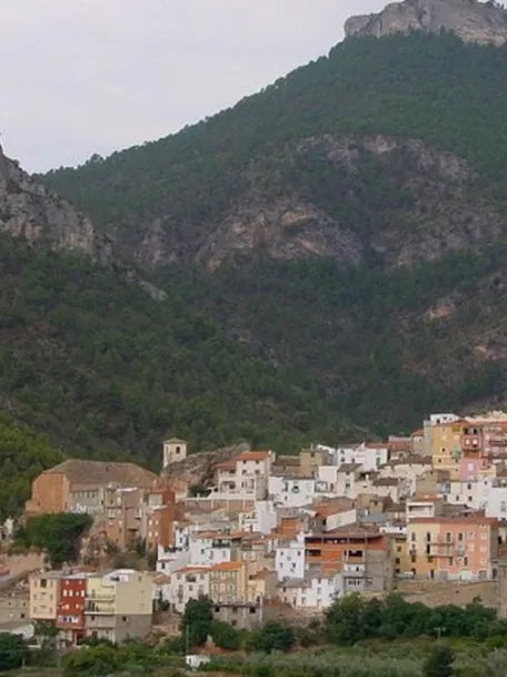 Vista panorámica de un pueblo escalonado en la ladera de una montaña boscosa.