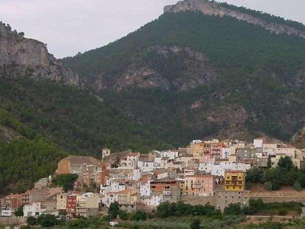 Vista panorámica de un pueblo escalonado en la ladera de una montaña boscosa.