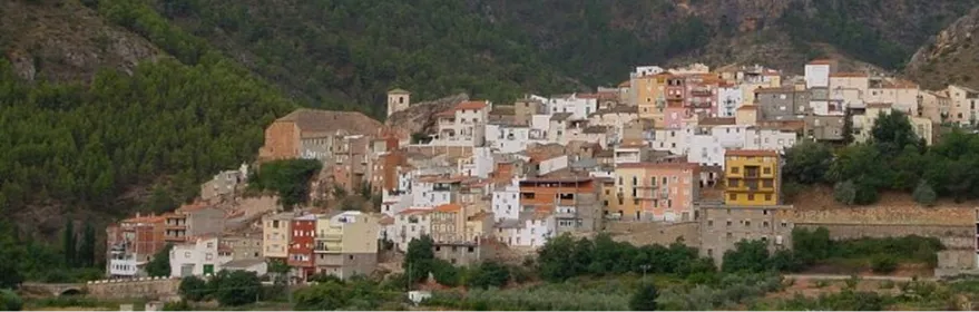 Vista panorámica de un pueblo escalonado en la ladera de una montaña boscosa.
