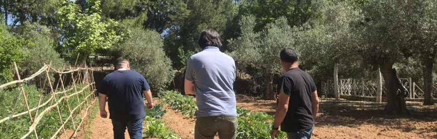 Imagen paseando por la huerta de Juan Monteagudo